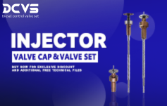 Weekly Promotion Of Injector Valve Set